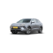 BYD Sea Lion 06