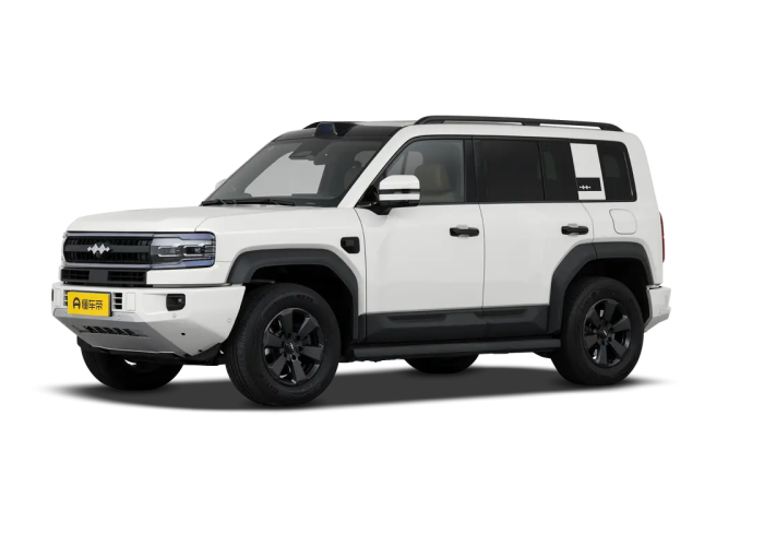 Leopard 5 Long Range Version