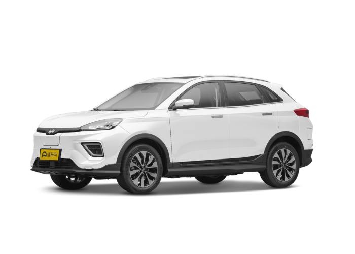 Weltmeister EX5