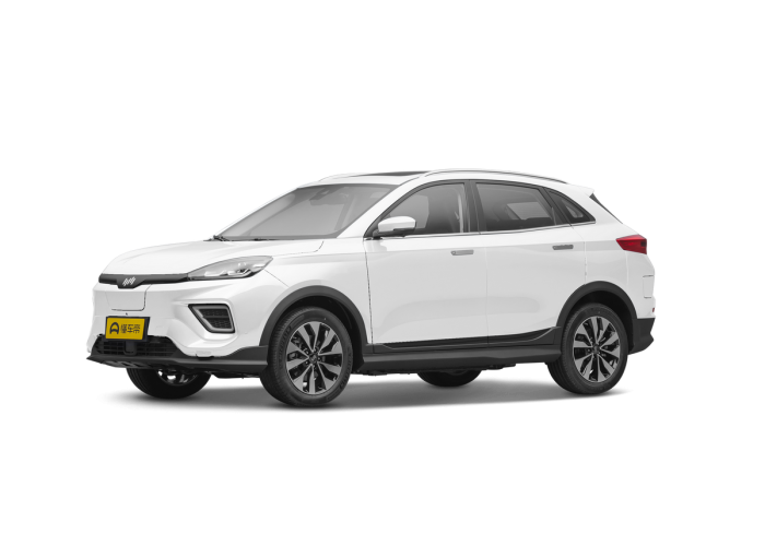 Weltmeister EX5