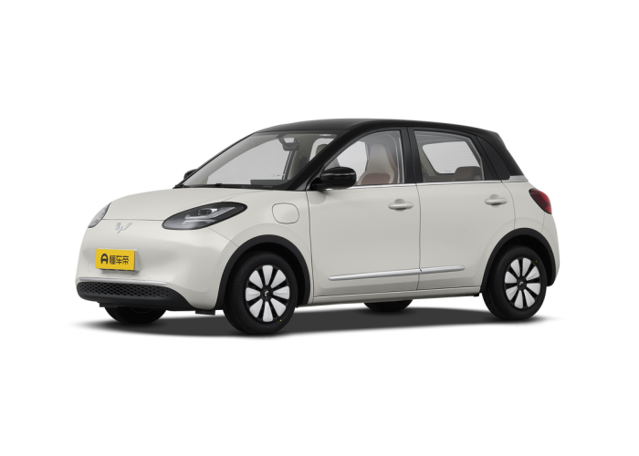 Wuling Bingo