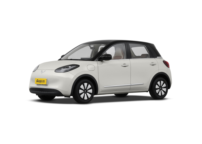 Wuling Bingo