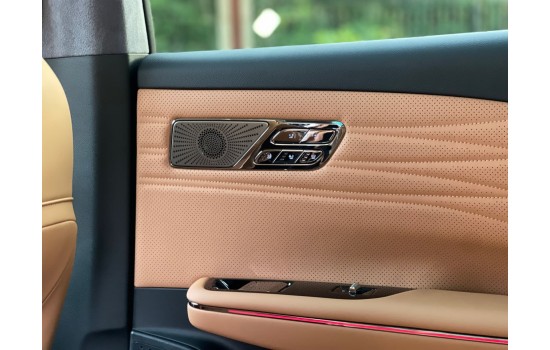 Geely Galaxy Starship 8 Em-p, 130km Top, пробег 1 тысяча км