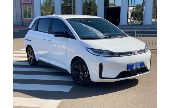 BYD D1