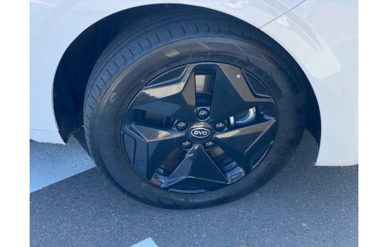 BYD D1