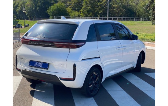 BYD D1