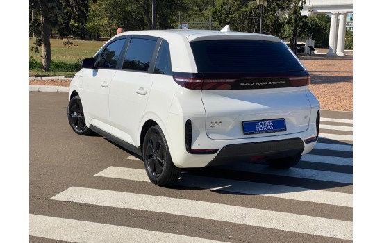 BYD D1