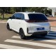 BYD D1