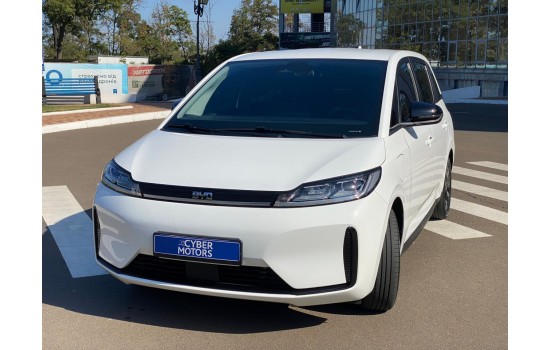 BYD D1