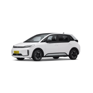 BYD D1