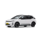 BYD D1