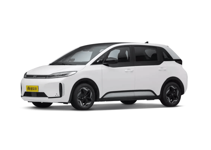 BYD D1