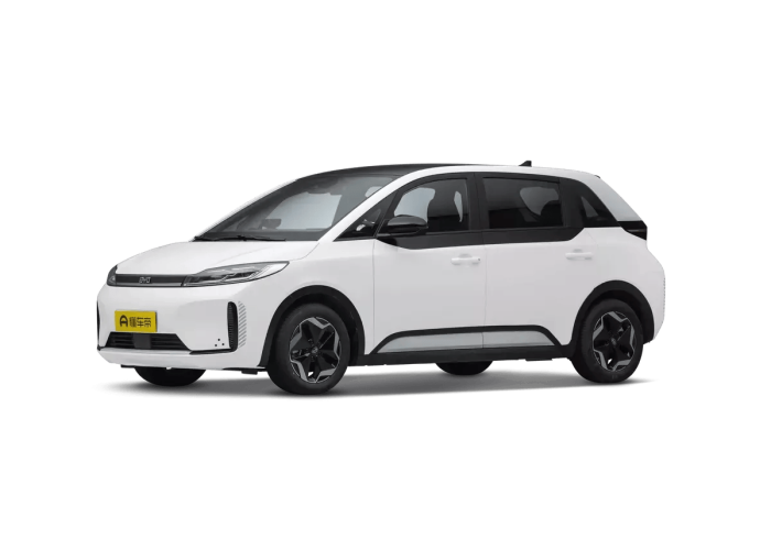BYD D1