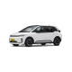BYD D1