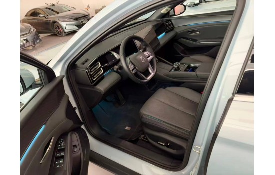 BYD Qin L DM-i, 120 км Top Excellence, батарея 15,8 kwh, 2025 (2)