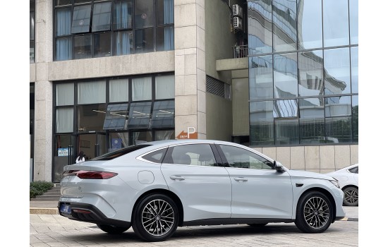 BYD Qin L DM-i, 120 км Top Excellence, батарея 15,8 kwh, 2025 (2)