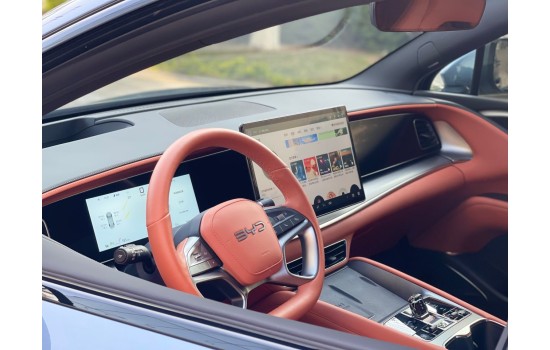 BYD Sea lion 07 2WD, 2025