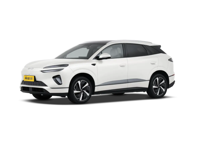 BYD Sea Lion 06