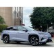BYD Sea lion 07 Purple 2024