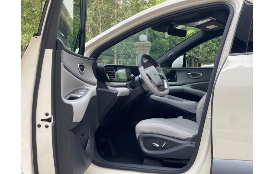 BYD Sea Lion 06 EV, 605 Pilot Pro 2WD,  2025, пробіг 9 тисяч км