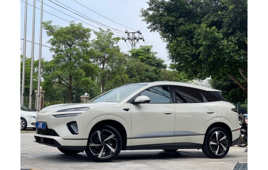BYD Sea Lion 06 EV, 605 Pilot Pro 2WD,  2025, пробіг 9 тисяч км