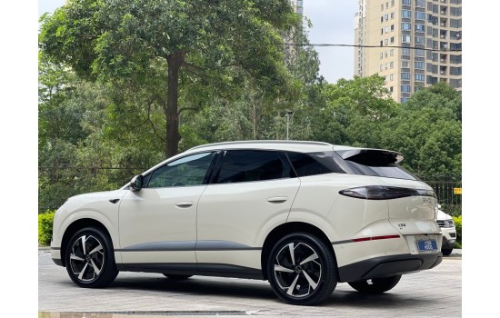 BYD Sea Lion 06 EV, 605 Pilot Pro 2WD,  2025, пробіг 9 тисяч км