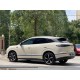 BYD Sea Lion 06 EV,  2025