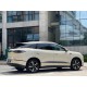BYD Sea Lion 06 EV,  2025