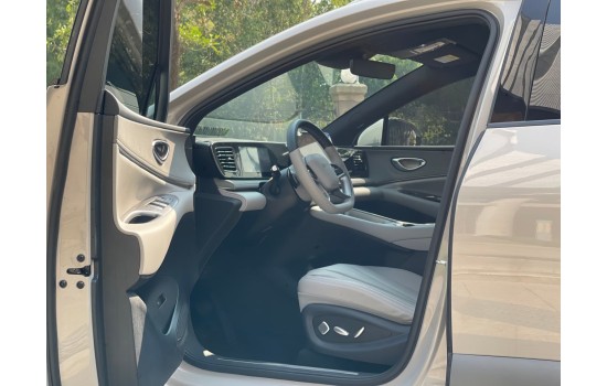 BYD Sea Lion 06 EV, 2WD  Pilot Plus