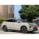 BYD Sea Lion 06 EV, 2WD  Pilot Plus