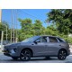 BYD Sea Lion 06