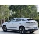 BYD Sea Lion 06