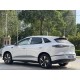 BYD Sea Lion 06