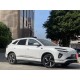 BYD Sea Lion 06