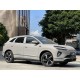 BYD Sea Lion 06