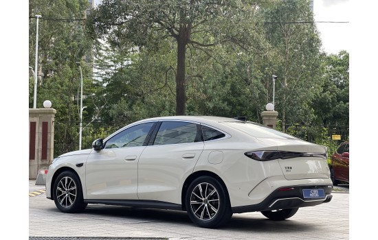 BYD Sea Lion 06 DMi, пробіг 6 тисяч км