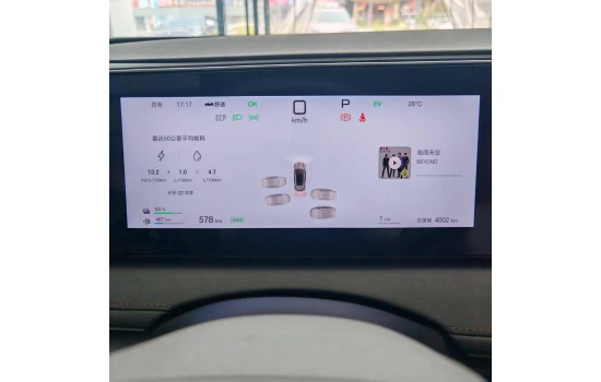 BYD Sea Lion 06 DMi, 205km Pilot Pro 2WD, 2025, пробег 4 тысячи км