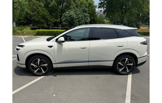 BYD Sea Lion 06 DMi, 205KM Pilot Plus, 2025, пробіг 5,3 тисячі км