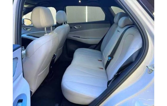 BYD Sea Lion 06 DMi, 205km Pilot Pro, 2025