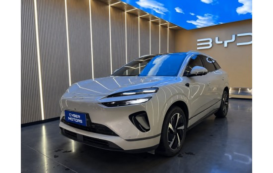 BYD Sea Lion 06 DMi, 205km Pilot Pro, 2025