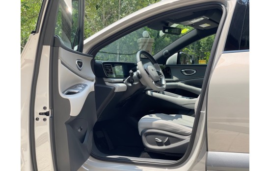 BYD Sea Lion 06 DMi, 205km Pro, 2025