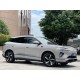 BYD Sea Lion 06 DMi, 170KM Pilot Plus, 2025, пробіг 3,7 тисячі км