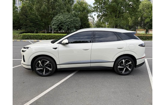 BYD Sea Lion 06 DMi, Pilot Plus, 2025, пробіг 5 тисяч км