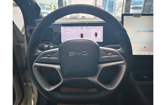 BYD Sea Lion 06 DMi, 205km Pilot Plus, пробіг 4,4 тисячі км
