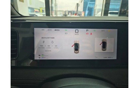 BYD Sea Lion 06 DMi, 205km Pilot Plus, пробіг 4,4 тисячі км