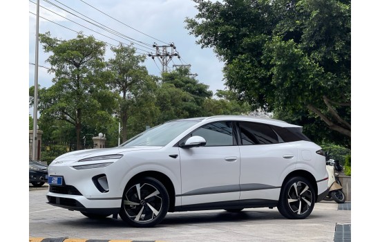 BYD Sea Lion 06 DMi, 170KM Pilot Plus, 2025, пробіг 1 тисяча км