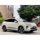 BYD Sea Lion 06 DMi, Pilot Plus, 2025, пробіг 9 тисяч км