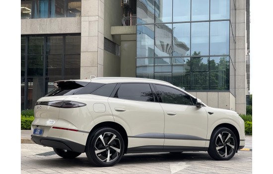 BYD Sea Lion 06 DMi, Pilot Plus, 2025, пробіг 9 тисяч км