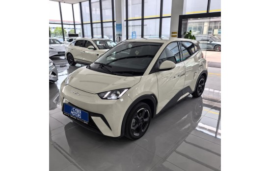 BYD Seagull EV, 405KM Flying Edition, 2023 (5)