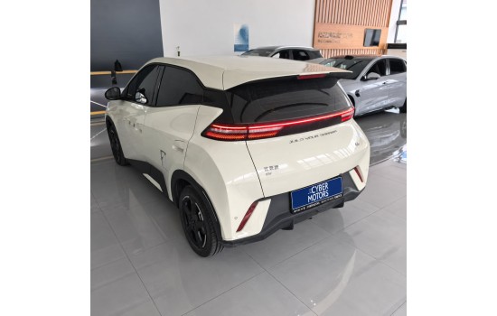 BYD Seagull EV, 405KM Flying Edition, 2023 (5)